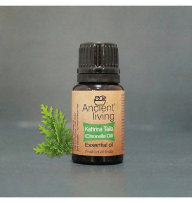 https://cdn.shopify.com/s/files/1/1857/6931/files/7b1eXba1VQ-921476.jpg?v=1736147456